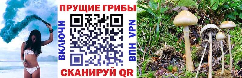Галлюциногенные грибы GOLDEN TEACHER  Вяземский 